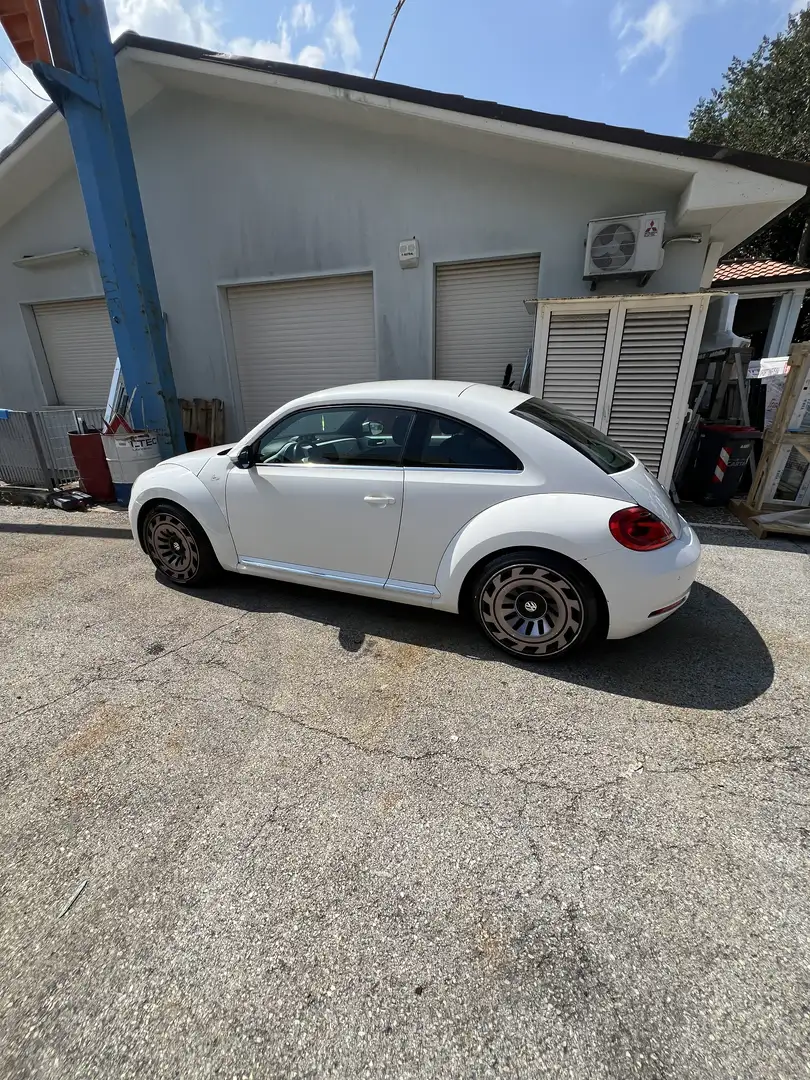 Volkswagen New Beetle 1.6 tdi 105cv - 2