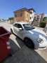 Volkswagen New Beetle 1.6 tdi 105cv - thumbnail 4