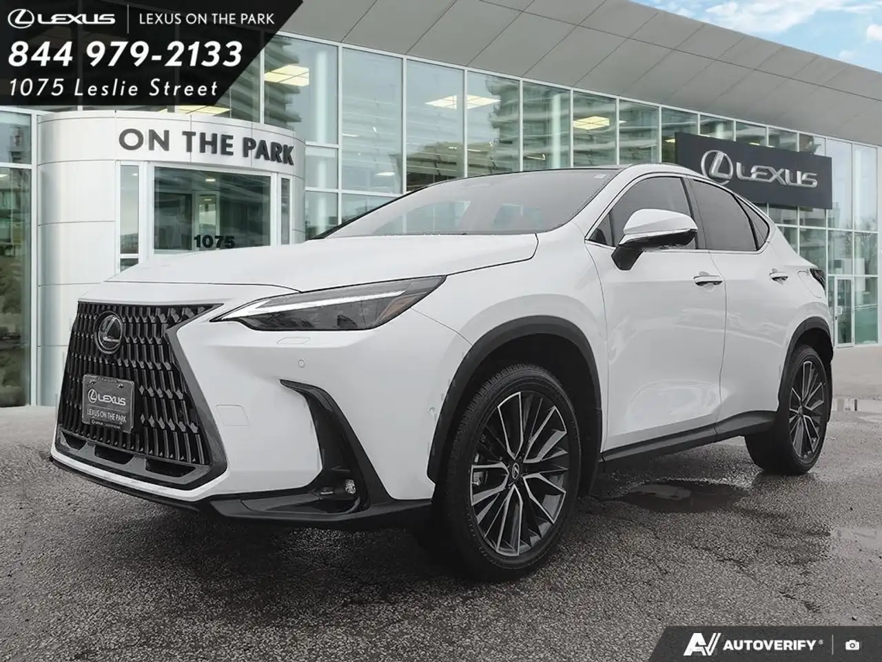 Lexus NX fotografie Lexus NX