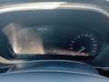 Ford Focus SW 1.0t ecoboost h ST-Line 125cv PREZZO VERO Blu/Azzurro - thumbnail 12