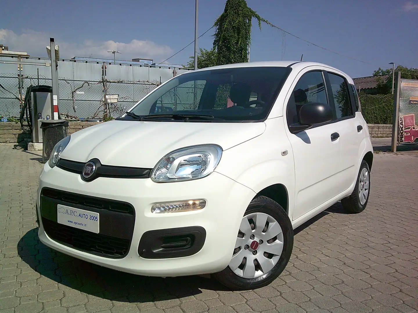Fiat Panda Panda  1.2 Pop SOLO KM 11000!! PREZZO REALE!! Bianco - 1