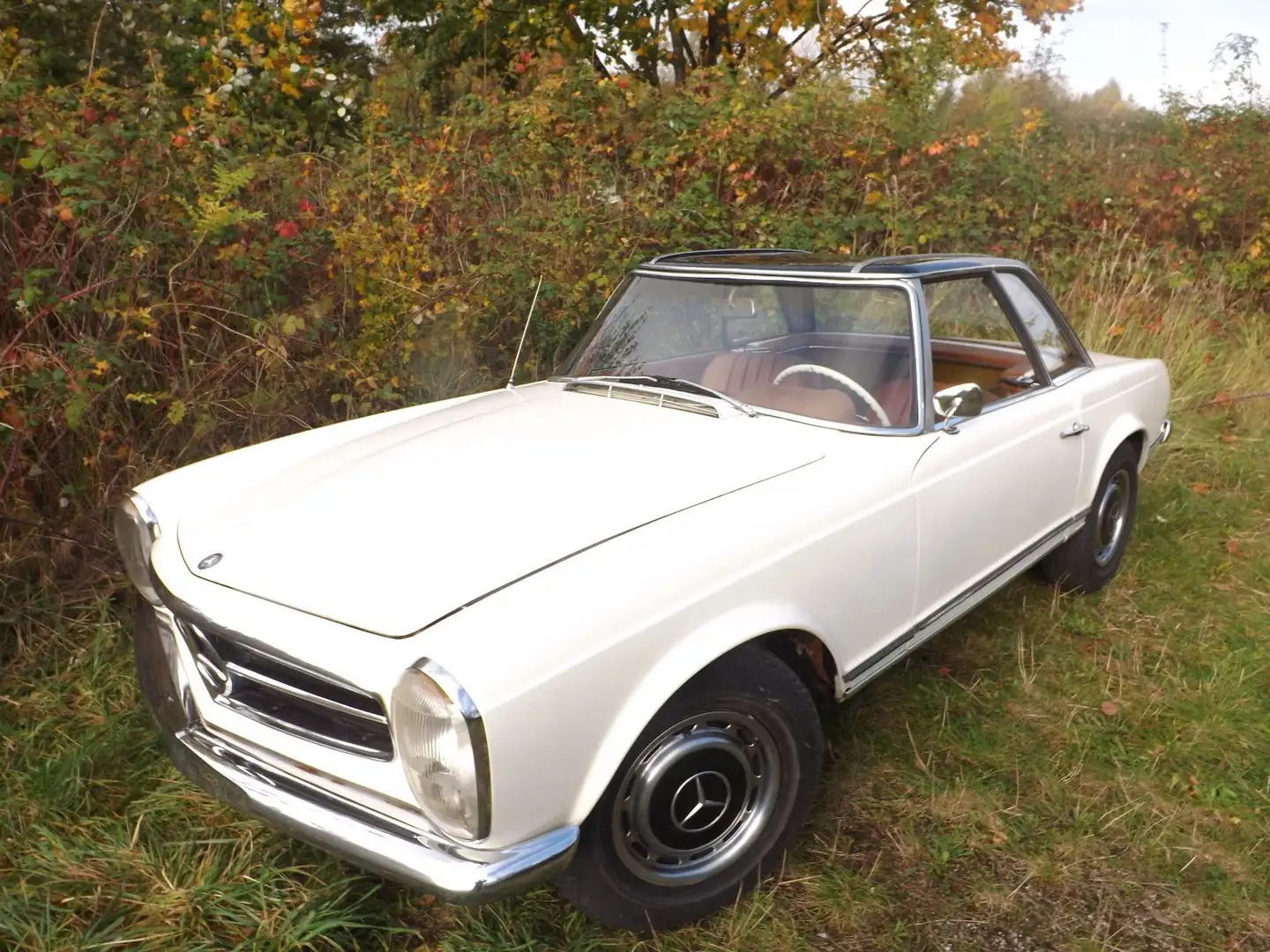 Mercedes-Benz 230 SL,der Klassiker!  Mit Schaltgetriebe! Alb - 1