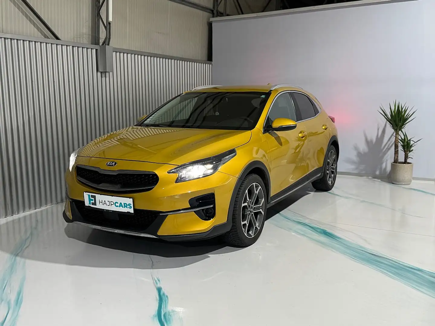 Kia XCeed Xceed 1,6 CRDI Gold VERKAUFT!!! Gold - 1