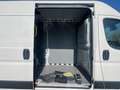 Toyota Proace Max H2 Kasten 2.2 L2H2 35MT Kawa Work Wit - thumbnail 6