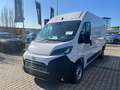 Toyota Proace Max H2 Kasten 2.2 L2H2 35MT Kawa Work Wit - thumbnail 1