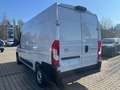 Toyota Proace Max H2 Kasten 2.2 L2H2 35MT Kawa Work Wit - thumbnail 4