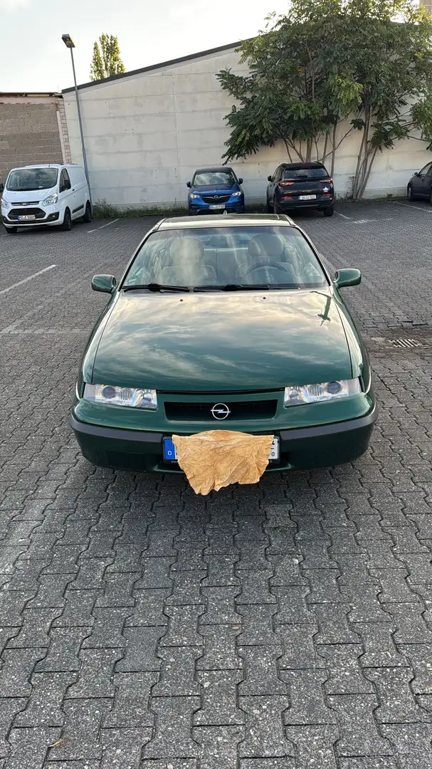 Opel Calibra Calibra V6 Classic (II) Grau - 2