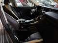Lexus IS 300 300h Luxury Grijs - thumbnail 8