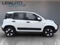 Fiat Panda Panda III 2021 Cross 1.0 firefly hybrid Cross s Weiß - thumbnail 3