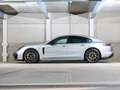 Porsche Panamera 4 E-Hybrid Grau - thumbnail 6