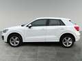Audi Q2 30 TDI Sport* 1.Besitz* Servicegepflegt* SUV* Weiß - thumbnail 5