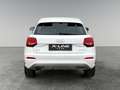 Audi Q2 30 TDI Sport* 1.Besitz* Servicegepflegt* SUV* Weiß - thumbnail 8