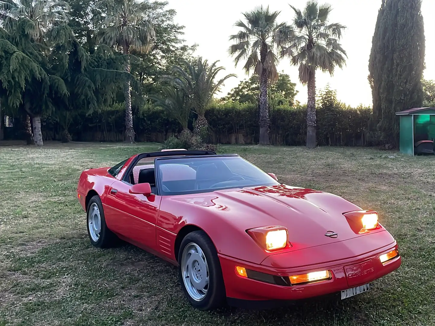 Corvette ZR1 LT5 1991 Rojo - 2