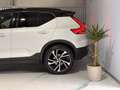 Volvo XC40 D3 R-Design Geartronic / elek. AHK / 8 fachB. Weiß - thumbnail 5