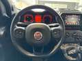Fiat Panda 1.0 FireFly S&S Hybrid Sport PREZZO REALE Grey - thumbnail 9