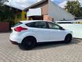 Ford Focus Achtung - Felgen / Reifen neu!!! Inspektion neu!!! Weiß - thumbnail 11