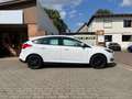Ford Focus Achtung - Felgen / Reifen neu!!! Inspektion neu!!! Weiß - thumbnail 3