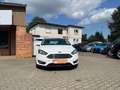 Ford Focus Achtung - Felgen / Reifen neu!!! Inspektion neu!!! Weiß - thumbnail 4