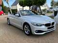 BMW 428 428i Cabrio Aut.Advantage Wit - thumbnail 3