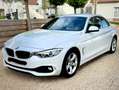 BMW 428 428i Cabrio Aut.Advantage Wit - thumbnail 2