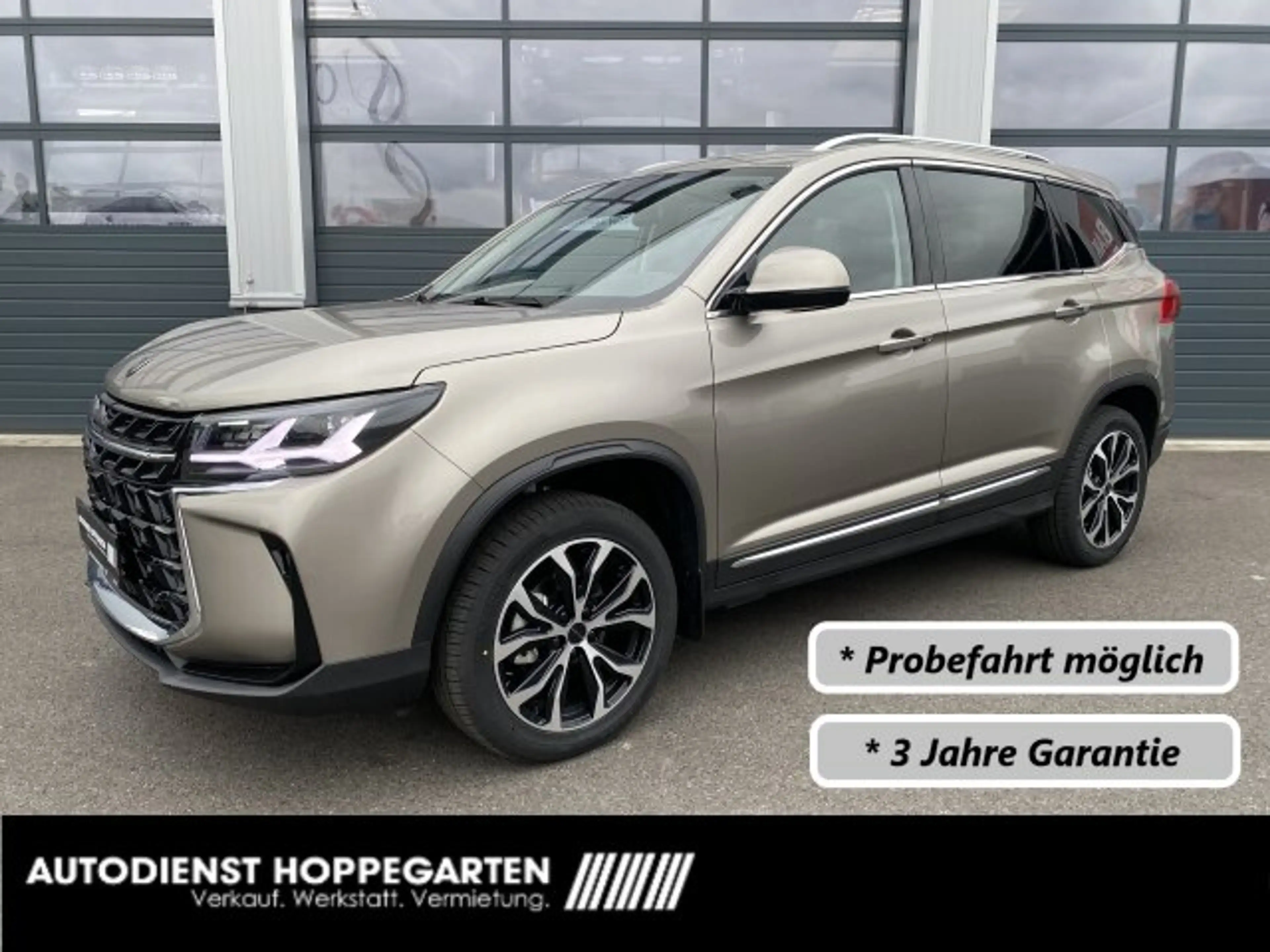 DFM Forthing 3 Forthing 3 Navi Panorama Kamera Ambiente Sitzh.