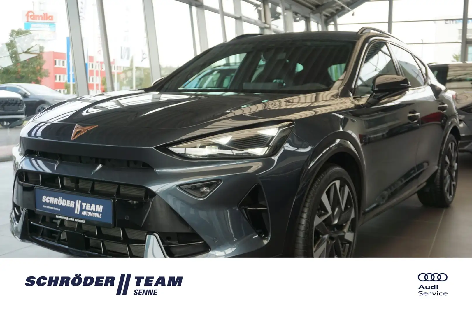 CUPRA Formentor 2.0 TSI 4 Drive VZ DCC ACC Memory Navi Gris - 1