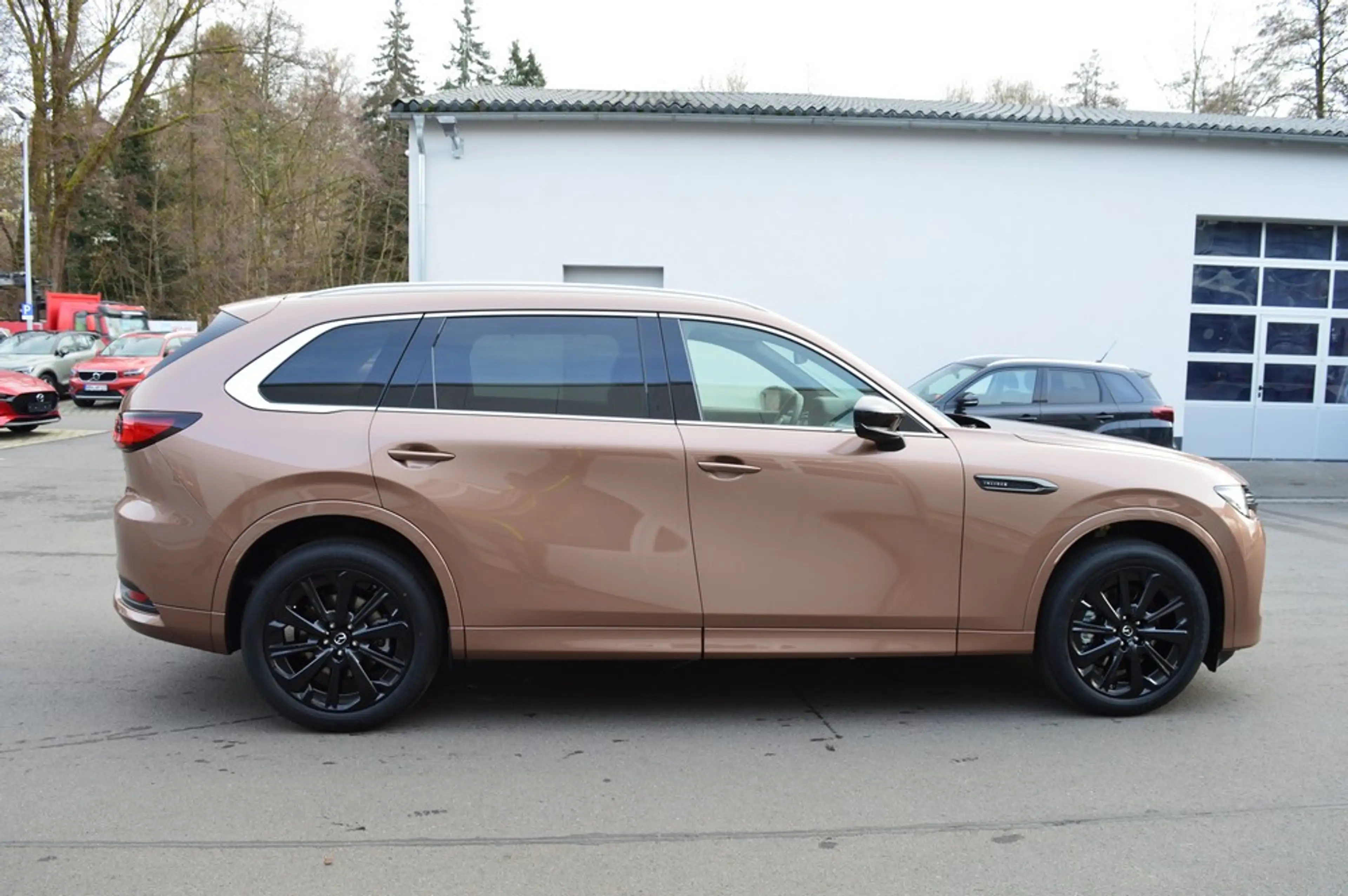 Mazda CX-80 e-SKYACTIV-D 254 M AWD HOMURA PLUS *Voll+2026!* — photo 6