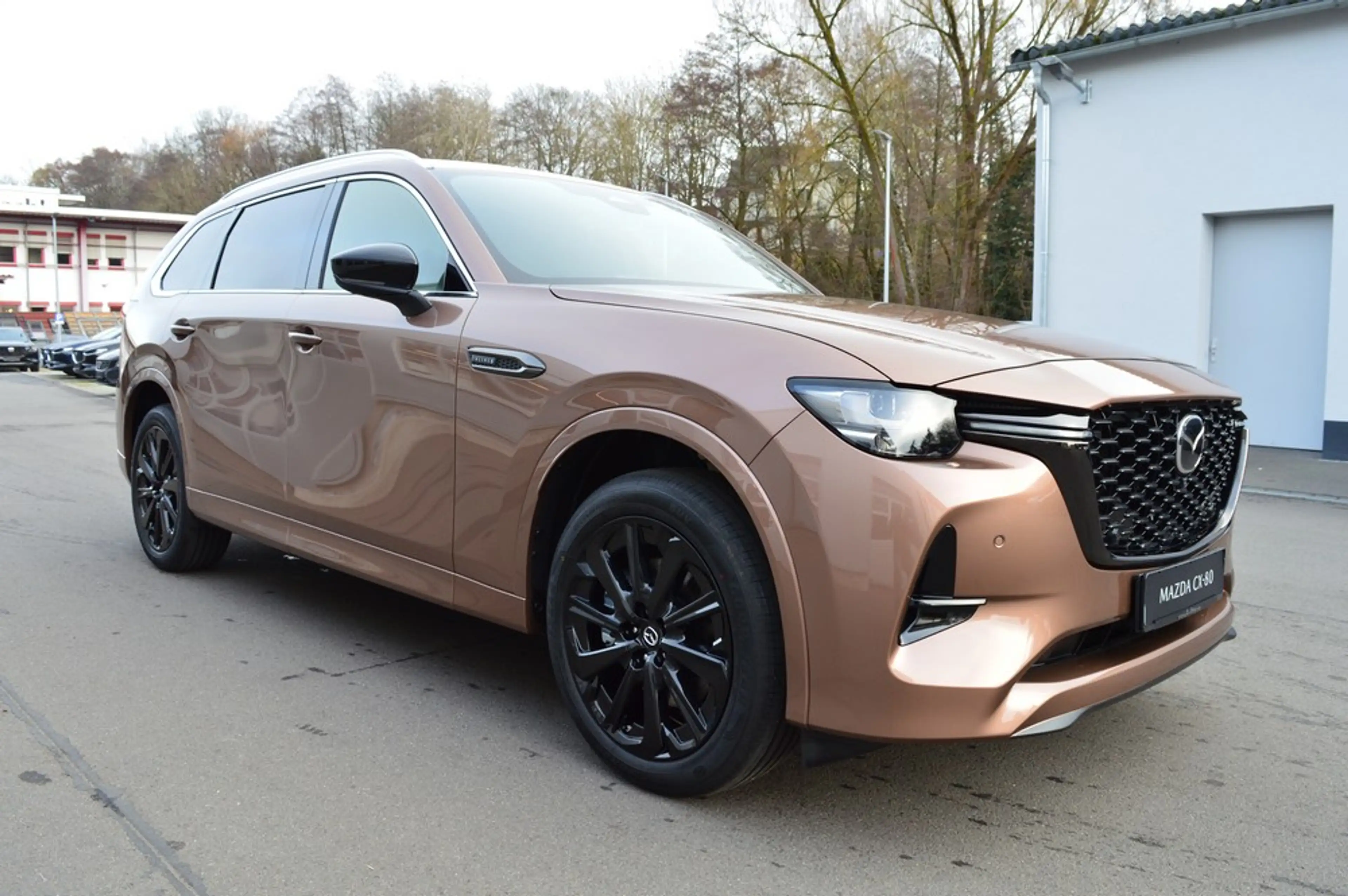 Mazda CX-80 e-SKYACTIV-D 254 M AWD HOMURA PLUS *Voll+2026!* — photo 4