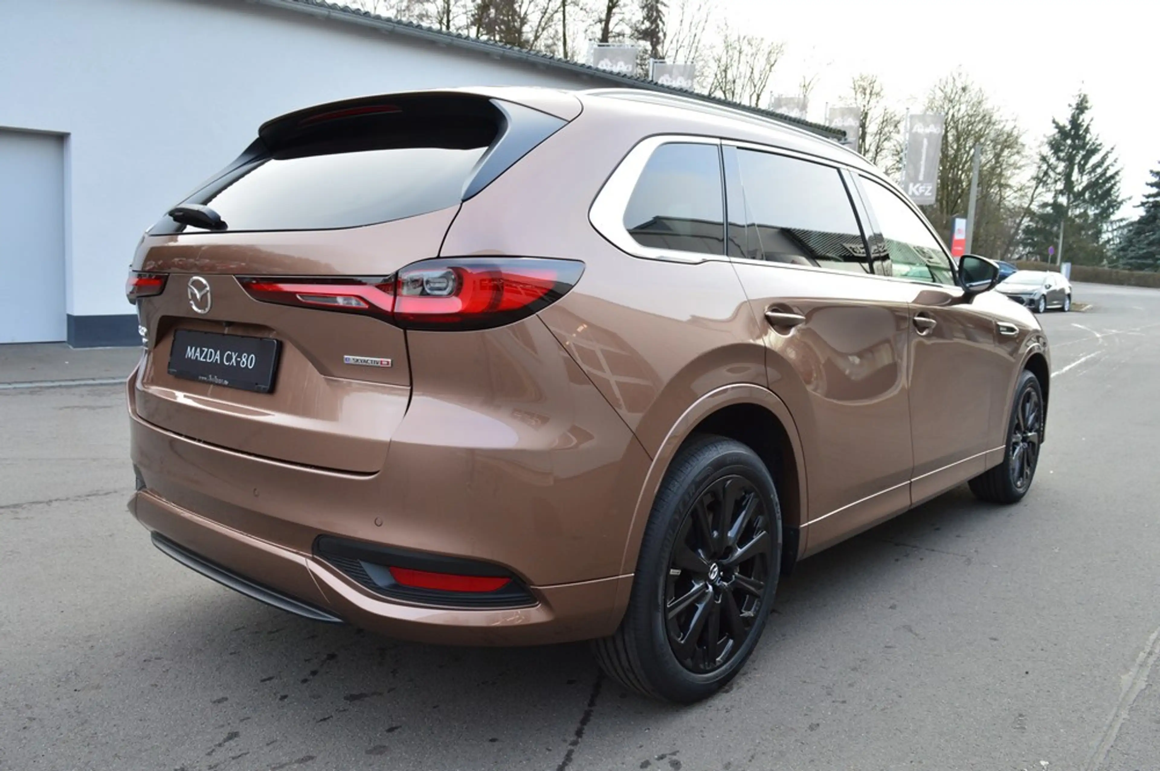 Mazda CX-80 e-SKYACTIV-D 254 M AWD HOMURA PLUS *Voll+2026!* — photo 9