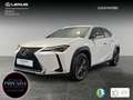 Lexus UX 250h 2.0 Business Weiß - thumbnail 1