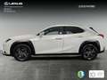 Lexus UX 250h 2.0 Business Weiß - thumbnail 4