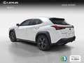 Lexus UX 250h 2.0 Business Wit - thumbnail 3