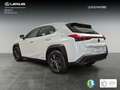 Lexus UX 250h 2.0 Business Blanco - thumbnail 2