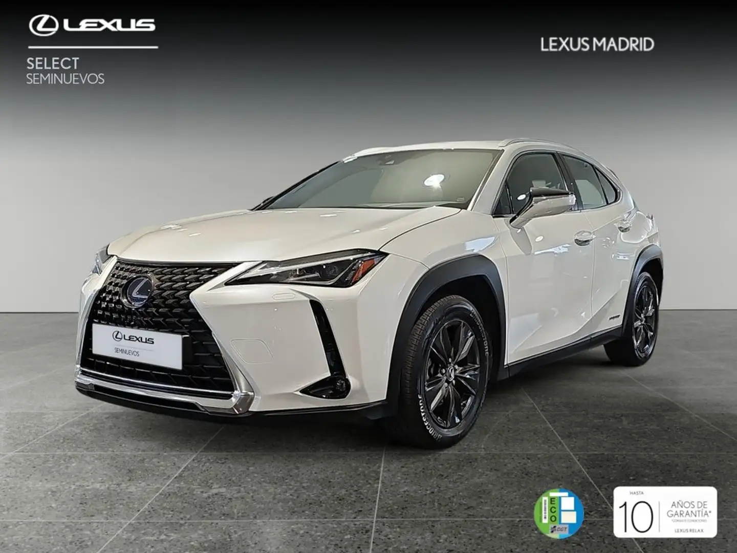 Lexus UX 250h 2.0 Business Bianco - 1