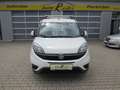 Fiat Doblo L2H1 1,3 MultiJet SX Start&Stop 90 5-Sitze*Klim... Wit - thumbnail 7