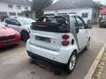 smart forTwo fortwo cabrio Micro Hybrid Drive 52kW Silber - thumbnail 5