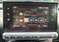 Citroen C4 Cactus C4 Cactus BlueHDi 100 S - thumbnail 10