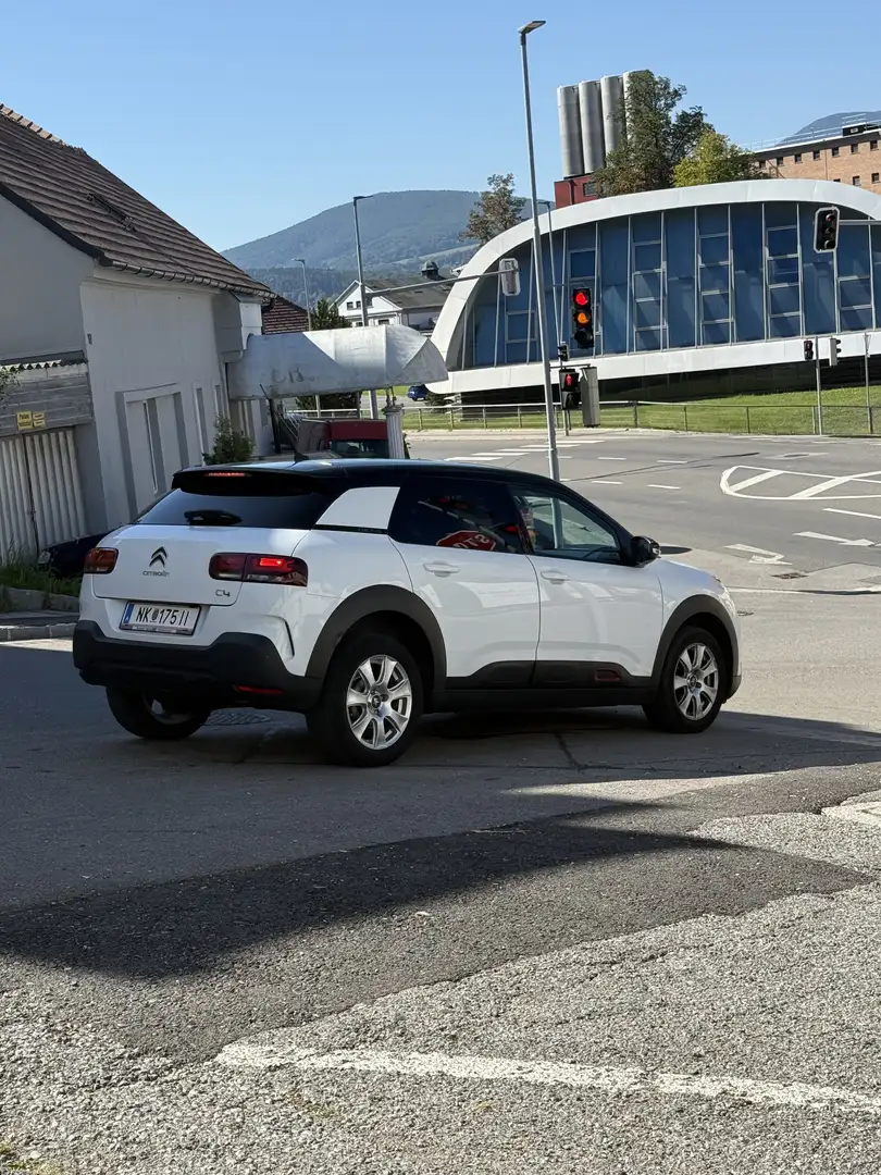 Citroen C4 Cactus C4 Cactus BlueHDi 100 S - 2