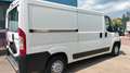 Fiat Ducato 3.000 MJT 160CV turbo diesel L1-H2 Bianco - thumbnail 13