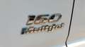 Fiat Ducato 3.000 MJT 160CV turbo diesel L1-H2 Bianco - thumbnail 14