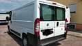 Fiat Ducato 3.000 MJT 160CV turbo diesel L1-H2 Bianco - thumbnail 6