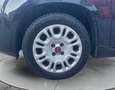 Fiat Panda Panda 1.2 Lounge - NEOPATENTATI Schwarz - thumbnail 15