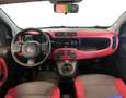 Fiat Panda Panda 1.2 Lounge - NEOPATENTATI Schwarz - thumbnail 7