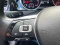 Volkswagen Golf 1.6 TDI 110 CV 5p. Highline BlueMotion Technology Grigio - thumbnail 13