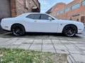 Dodge Challenger 6.4 V8 Scat Pack Shaker Widebody 492cv at8 Weiß - thumbnail 7