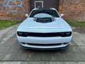 Dodge Challenger 6.4 V8 Scat Pack Shaker Widebody 492cv at8 Weiß - thumbnail 2