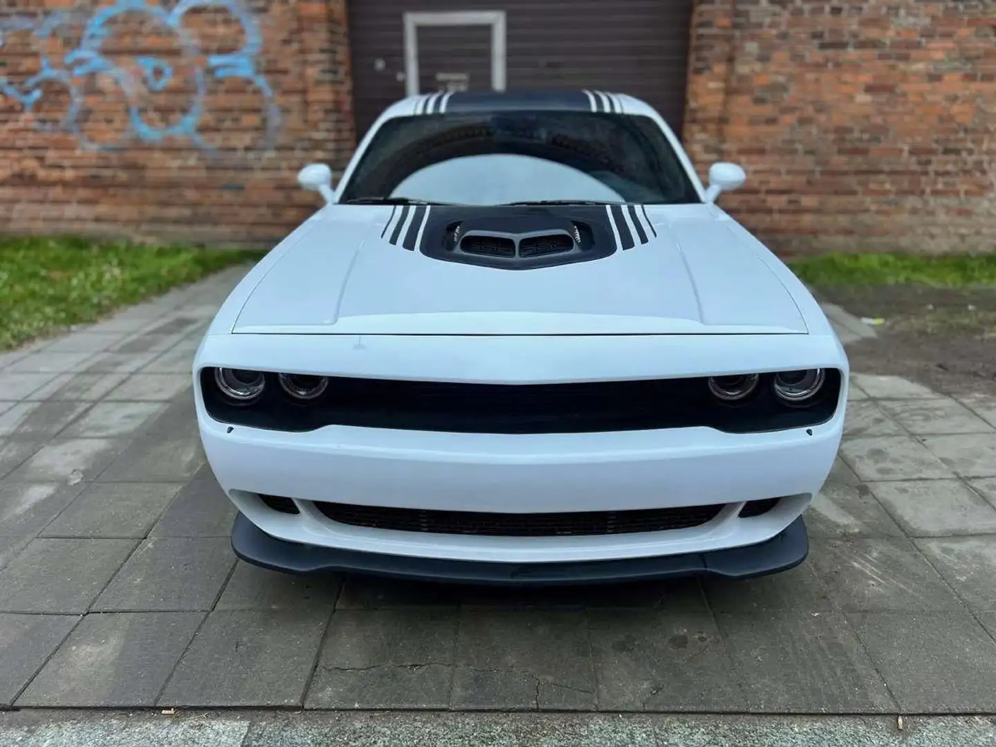 Dodge Challenger 6.4 V8 Scat Pack Shaker Widebody 492cv at8 Weiß - 2