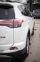 Toyota RAV 4 RAV 4 2.0 D-4D 4x2 Start-Stop Comfort Weiß - thumbnail 13