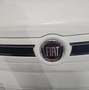 Fiat Panda Panda II 2003 1.2 Emotion 69cv E5 Bianco - thumbnail 6