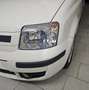 Fiat Panda Panda II 2003 1.2 Emotion 69cv E5 Bianco - thumbnail 7